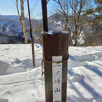 ここにも🐱ちゃん！