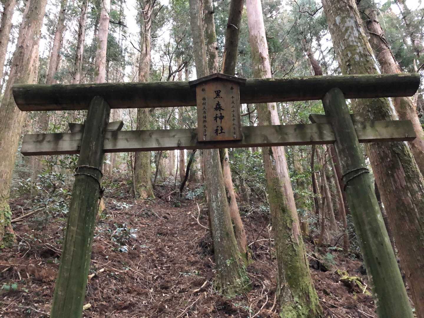 黒森山登山口-黒森山 往復コースの写真
