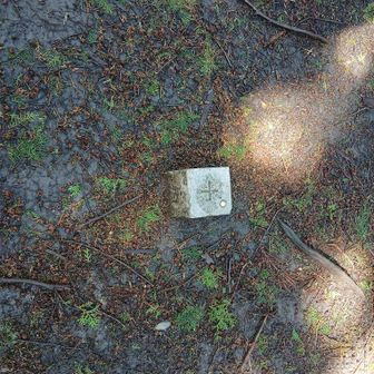 鳥見山（とみやま）山頂
表示は探してもありませんでした
展望もありません