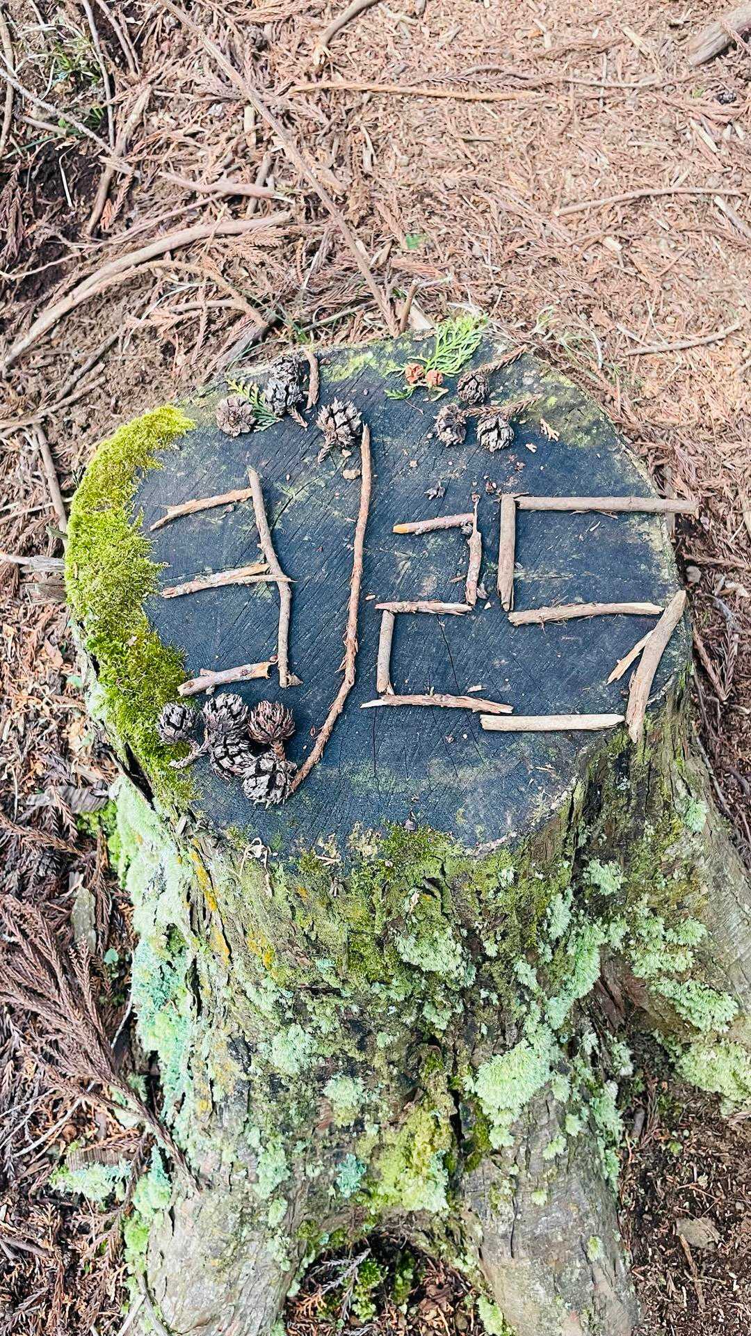 はなちゃんが『これ！YAMAPで見たやつだ』と日にちが２４日だったので２５日に変更しました😁