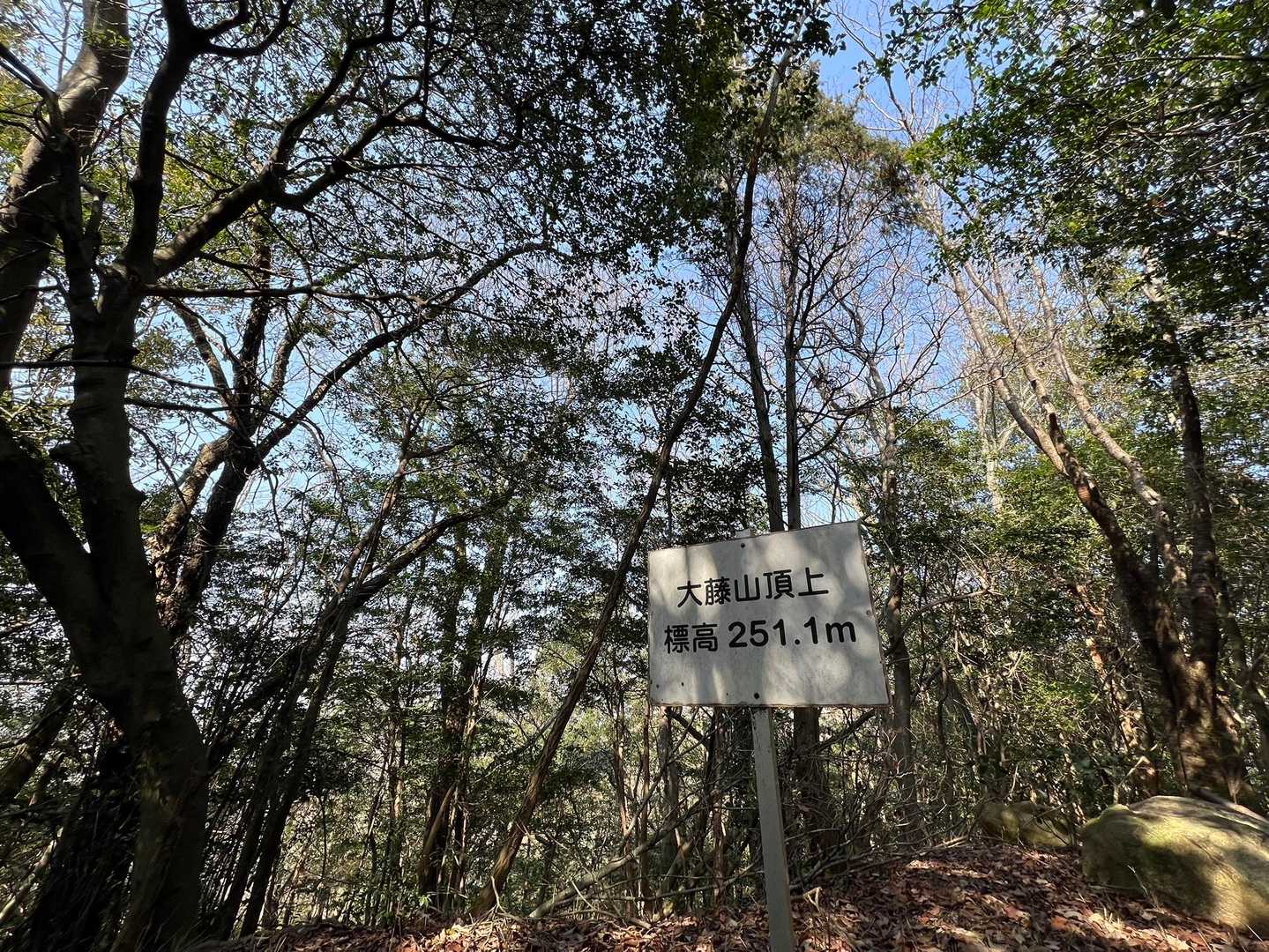 🪧大藤山⛰️✨
もちろん展望は無し😁