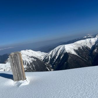 半分以上埋まってる