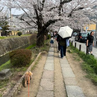 くん活の道🐶

ありのままに、くん活にふけってます。笑