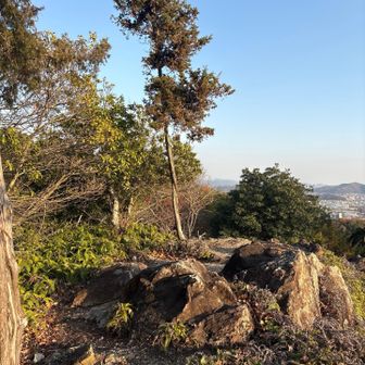城山（ご飯山）頂上