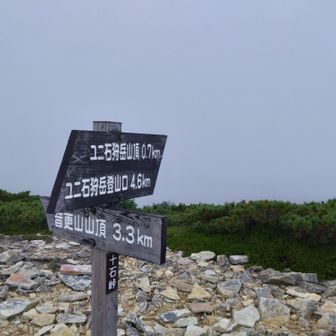 分岐に戻り、約１時間かけて本日のテン場へ