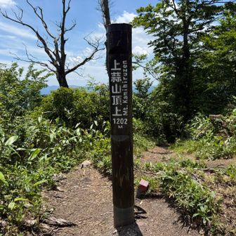 上蒜山の頂上は眺望なし