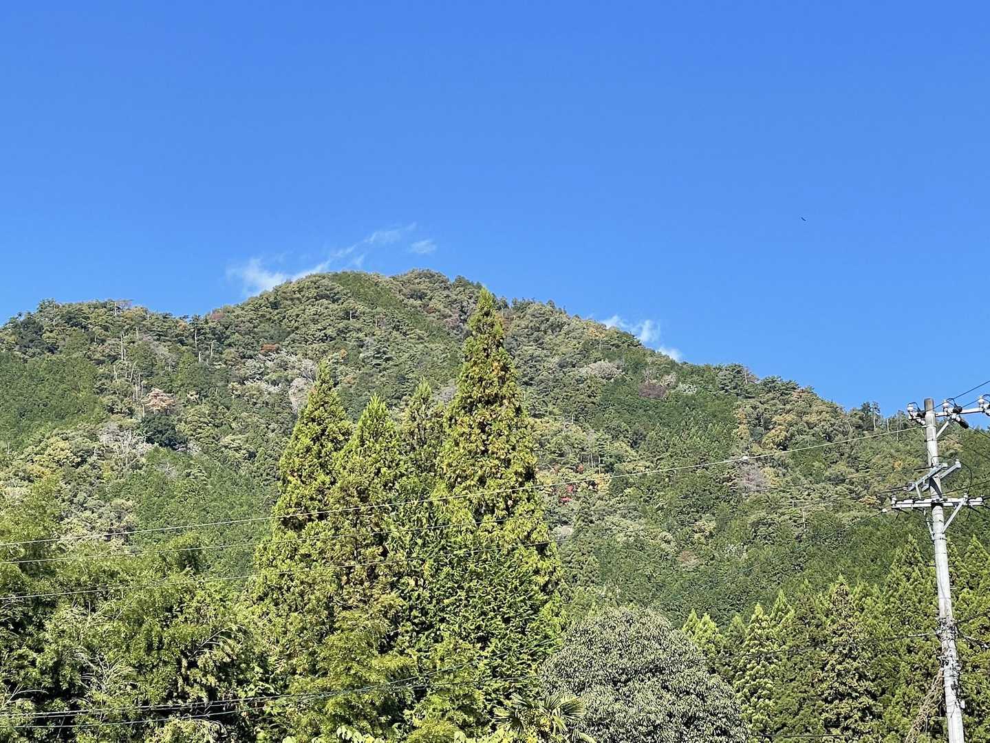 今登ったお山⛰