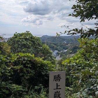 少し休憩した後、勝上嶽展望台で写真を１枚。📸
下の方に建長寺が見えます。