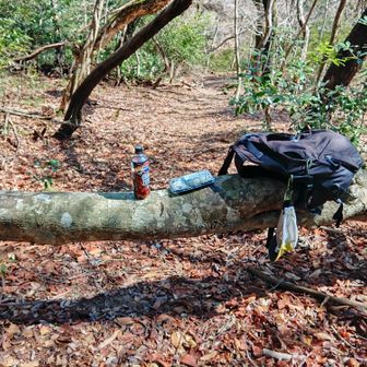 雨が上がって良かった😊