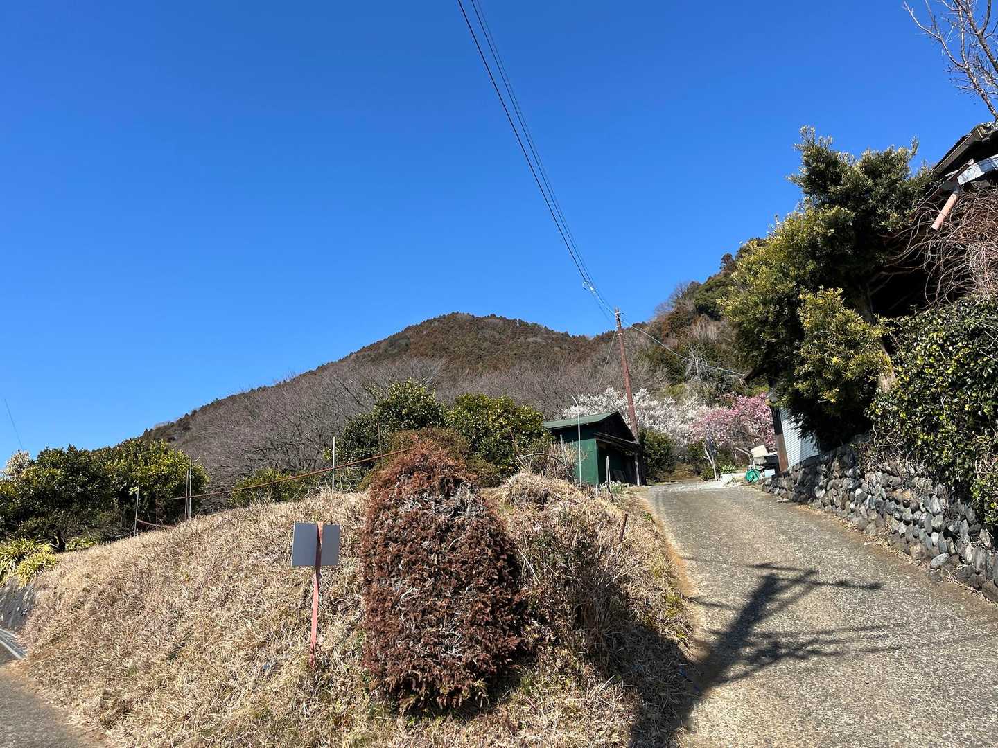 今から登る松田山