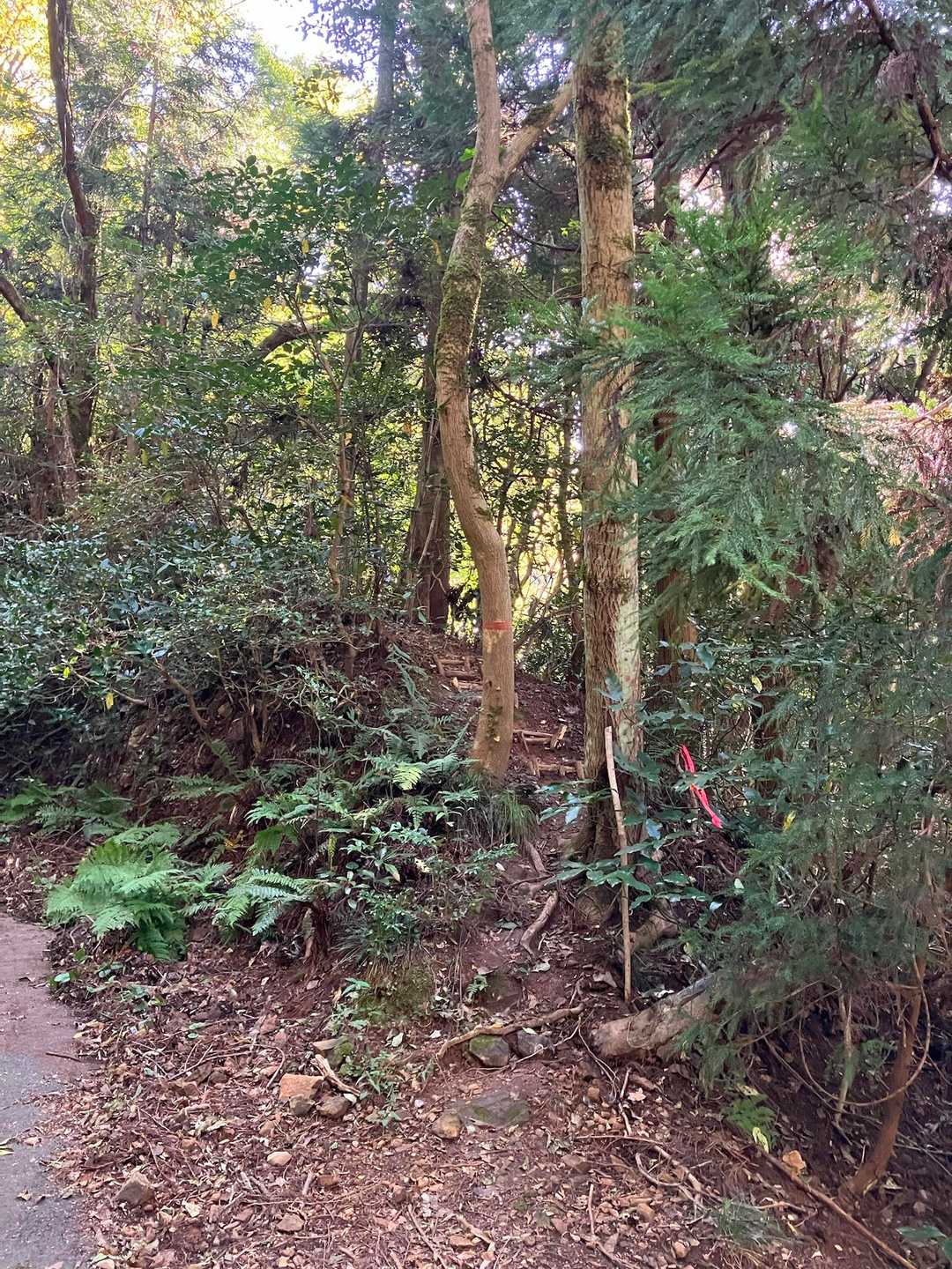 弥勒山⛰️和久羅山⛰️の登山口