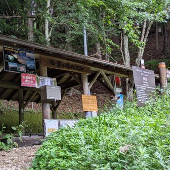 登山届！