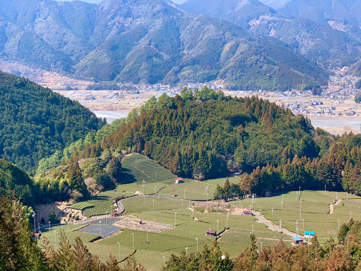 若山-竜爪山 往復コースの写真