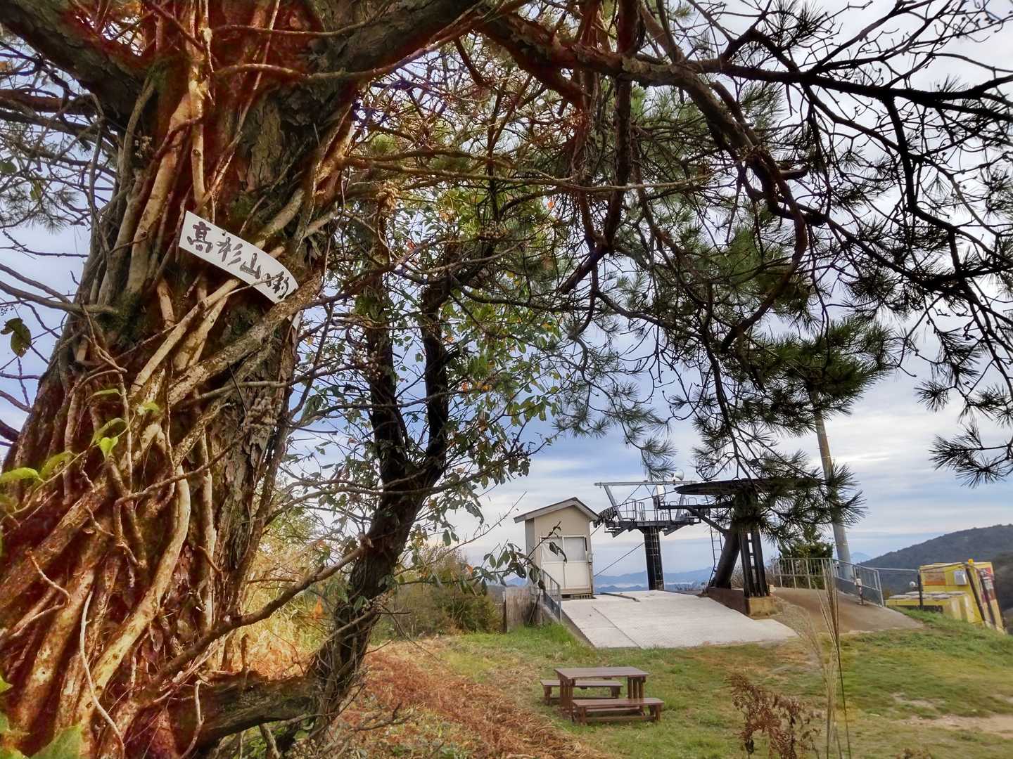 小マキ山（夫婦岩山）の山頂付近到着😁
高杉山の標識があるが、YAMAPでは小マキ山の表記🤔
サイオトスキー場のリフトあり🎿