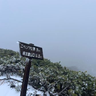 ここからが長いんじゃ