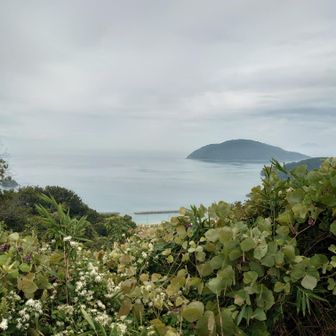眺望は抜群でした