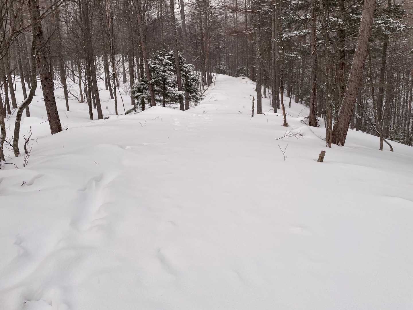 トレースの上に新雪が
踏み跡なしに