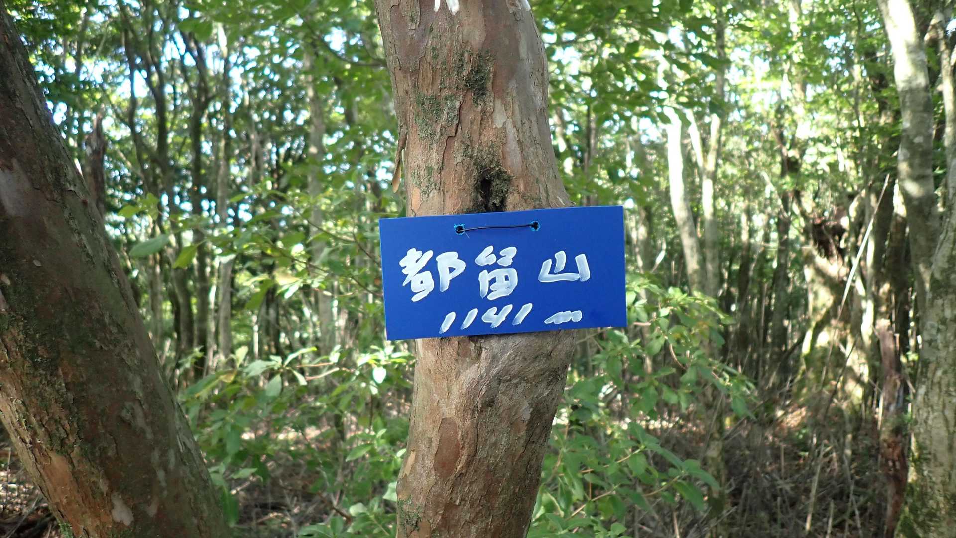 この標識、何人気づくかな～？