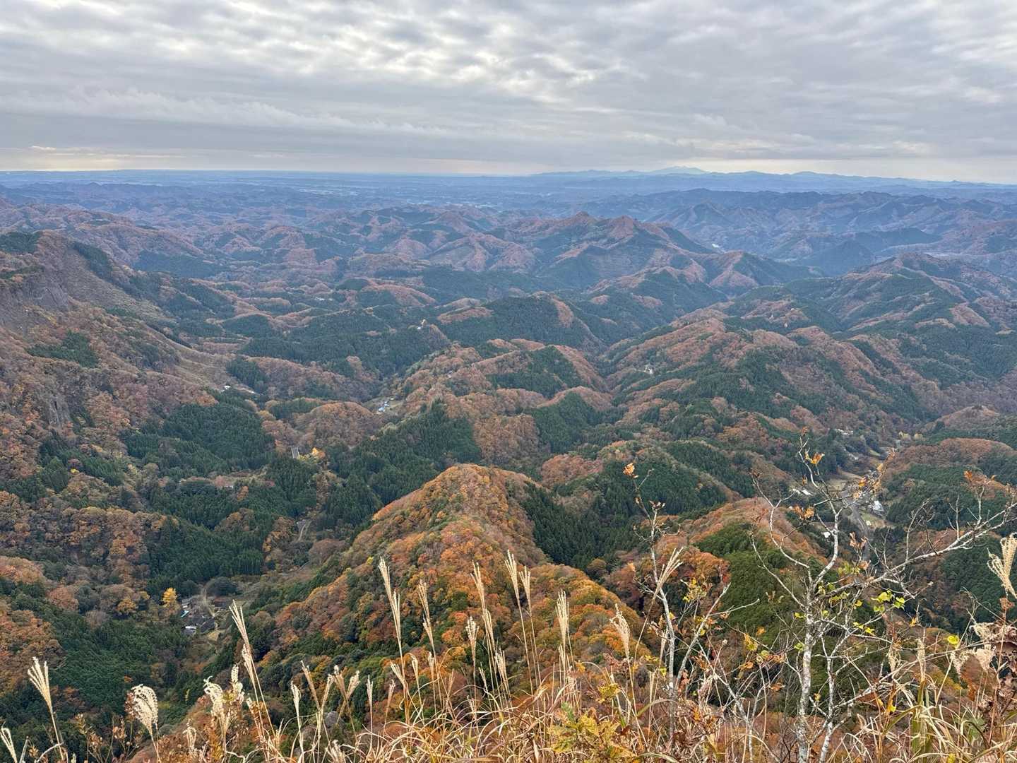 🤩素晴らしい