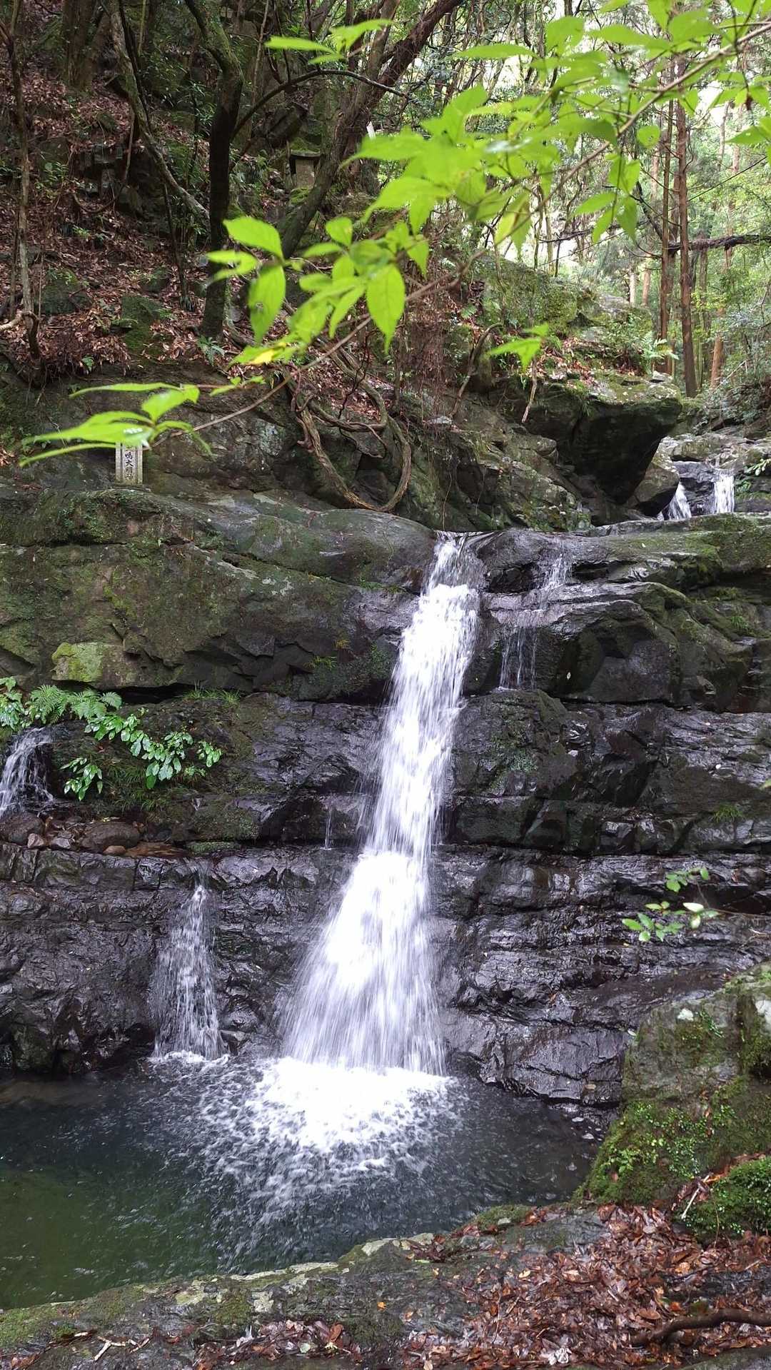 七宝龍寺本堂-経塚権現山登り口-経塚権現山 往復コースの写真