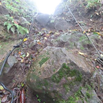 出張山山頂直下の急登
鎖とロープが張られていました。ストックを使った三点支持で、鎖やロープに頼らず登れました。