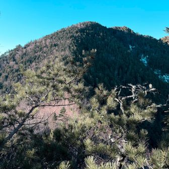 右が山頂です
ここから一旦降ってからの急登です💦