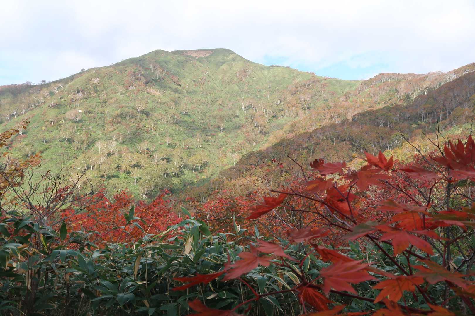 石徹白登山口-銚子ヶ峰 往復コースの写真