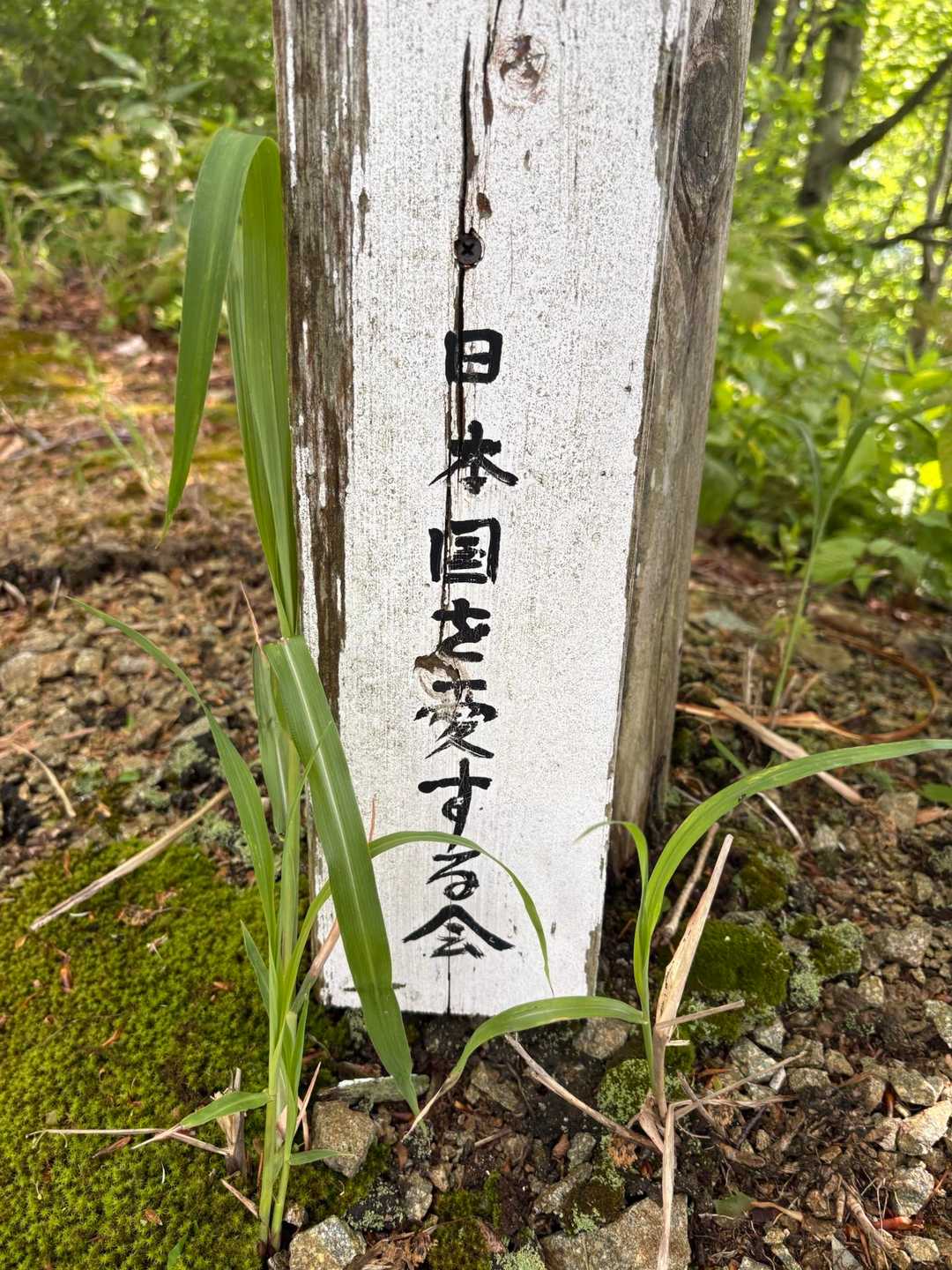 良いですね♪