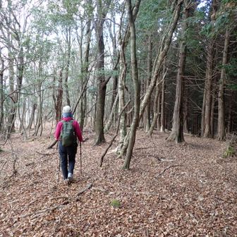 下山はまっすぐ先（北）に向かった