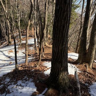 これは突っ切るだろ⁉️
