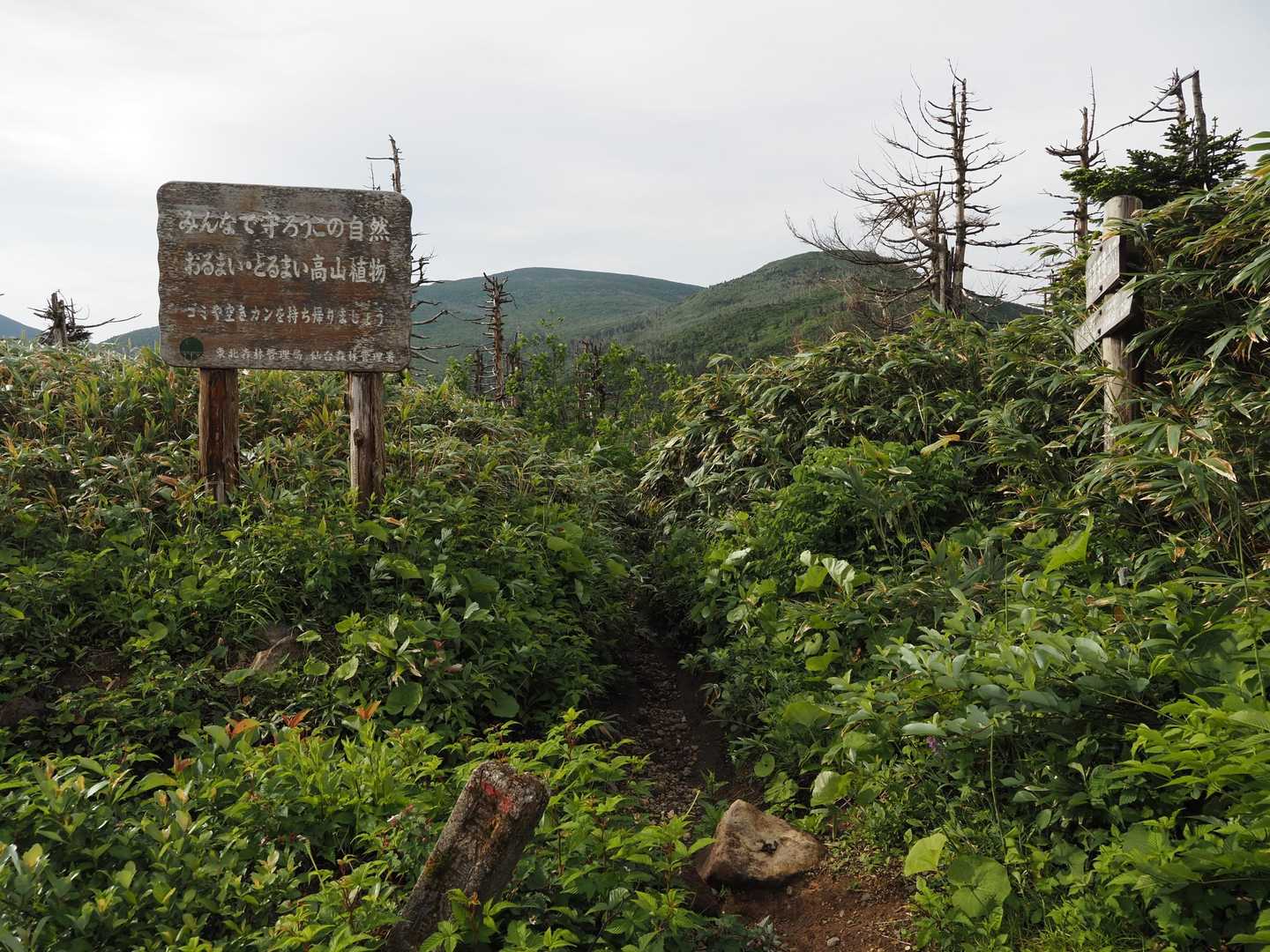 南蔵王登山口-刈田峠-屏風岳-南屏風岳-不忘山 往復コースの写真