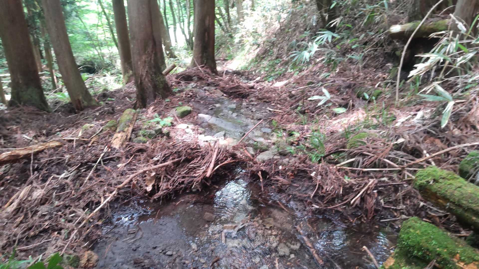 高屹山 周回コースの写真