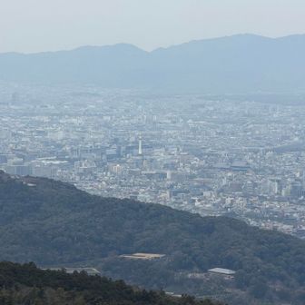 京都タワーですね🗼