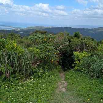 ここは、尾根コースから登ってきた登山道〜！行く時と同じここから、下山しました！