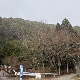 今回はツツジオ谷ルートから登ります