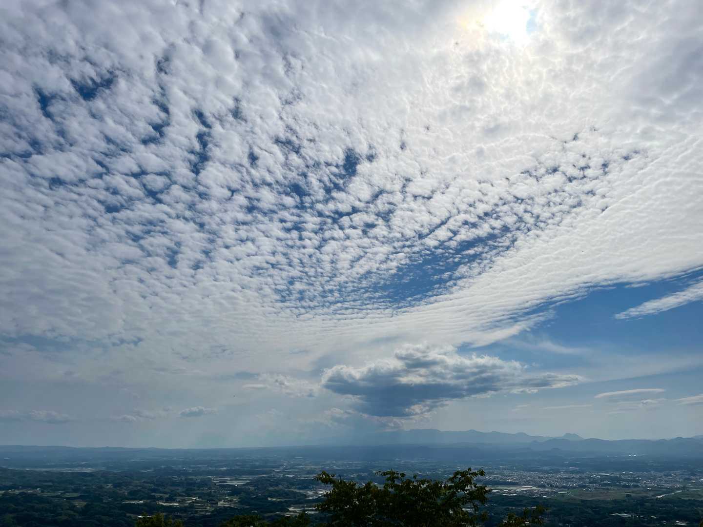 明日は雨