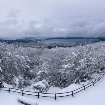 展望台からの景色
