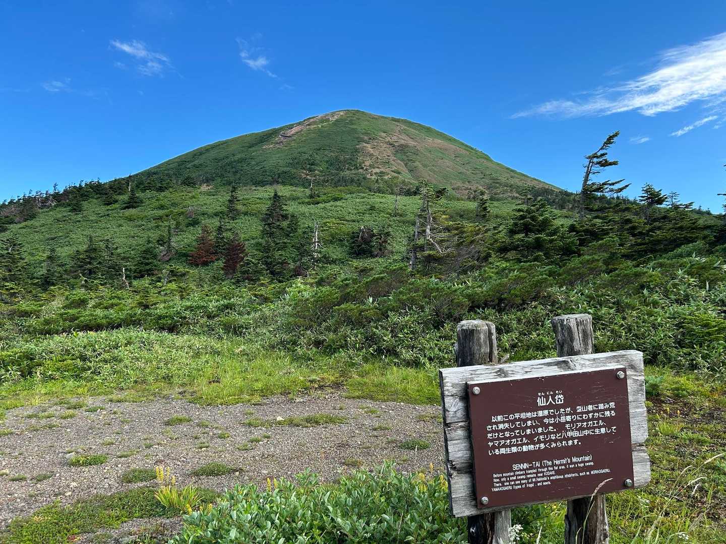 どうやら大岳はこちらのようです。