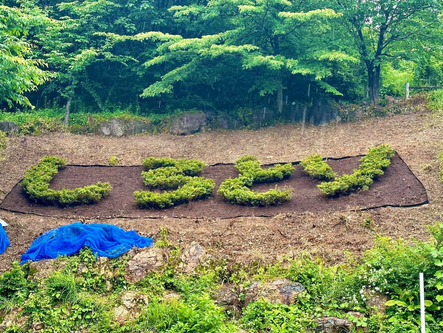 白鳥山 往復コースの写真