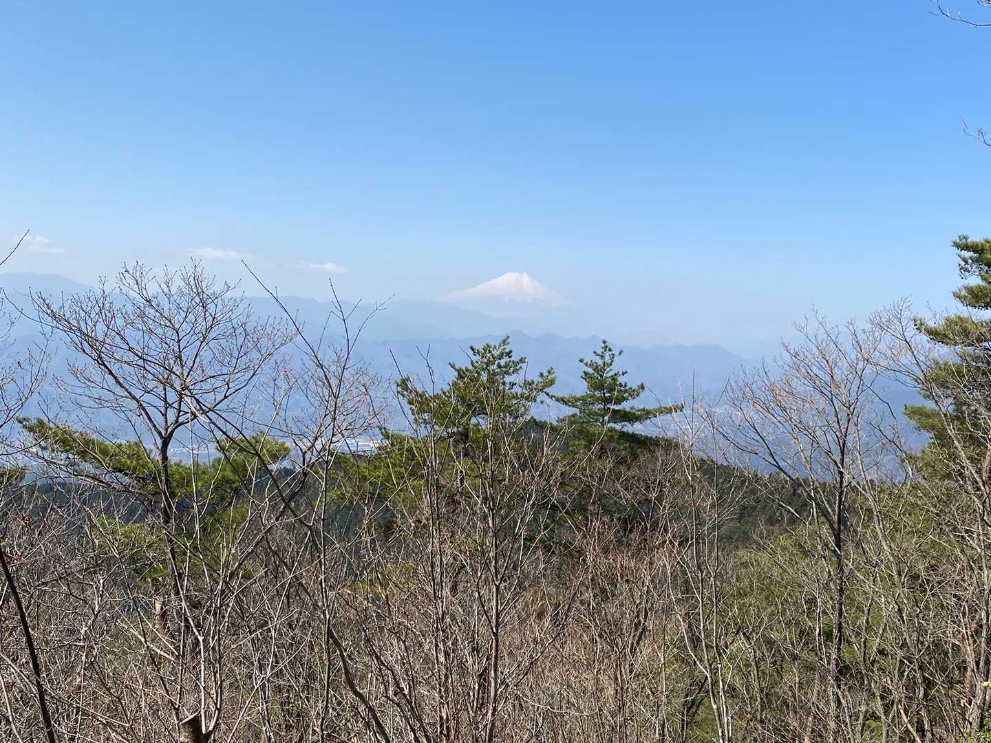 引きで