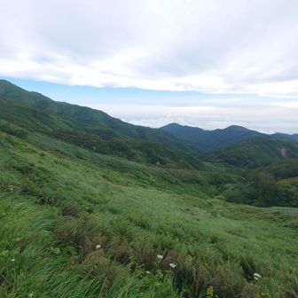 種蒔山下から大日杉小屋へ分かれて下っていきます