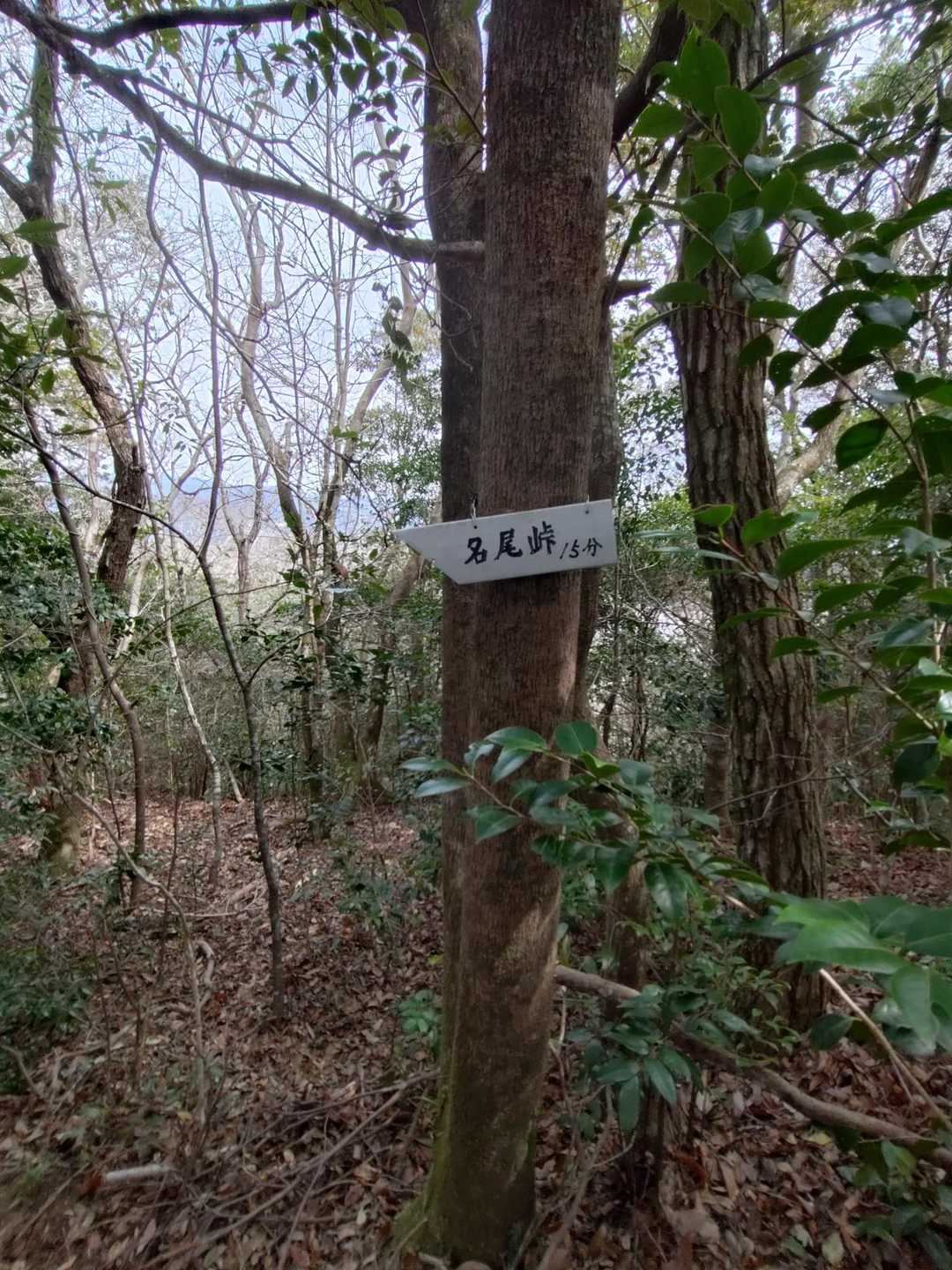 峠まで歩こうかい？

いやいや帰宅時間が遅くなるよ！と却下なのでした