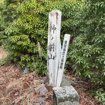 神ノ前山に到着。