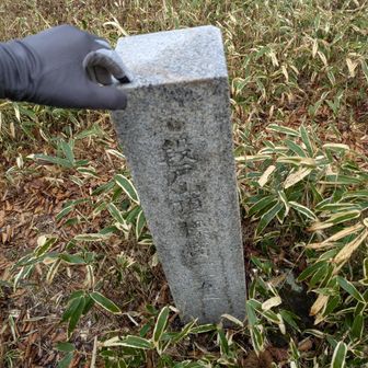 石碑タイプは珍しい。