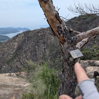 三頂山
登頂しましたぁ✨️