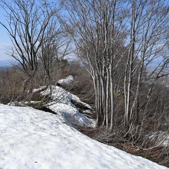 笹野山ピーク手前の雪庇もこんな感じ。この上を歩くのを楽しみにしていたけどこんなに少ないとダメだな。
