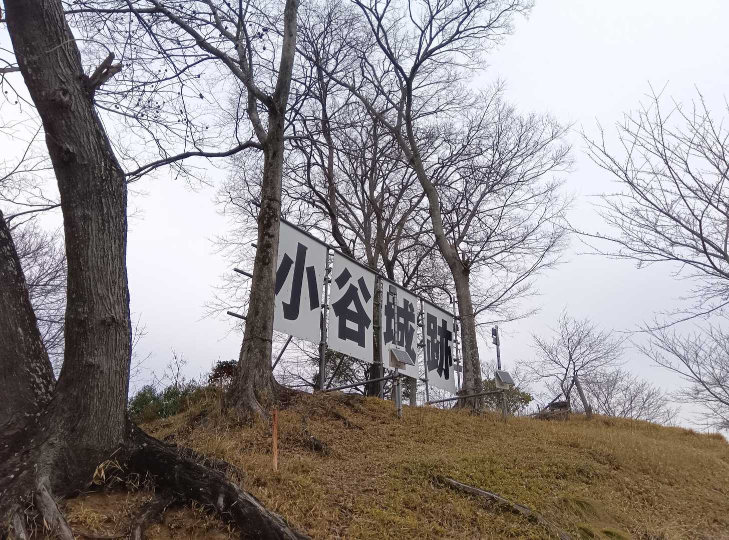 小谷城山 周回コースの写真