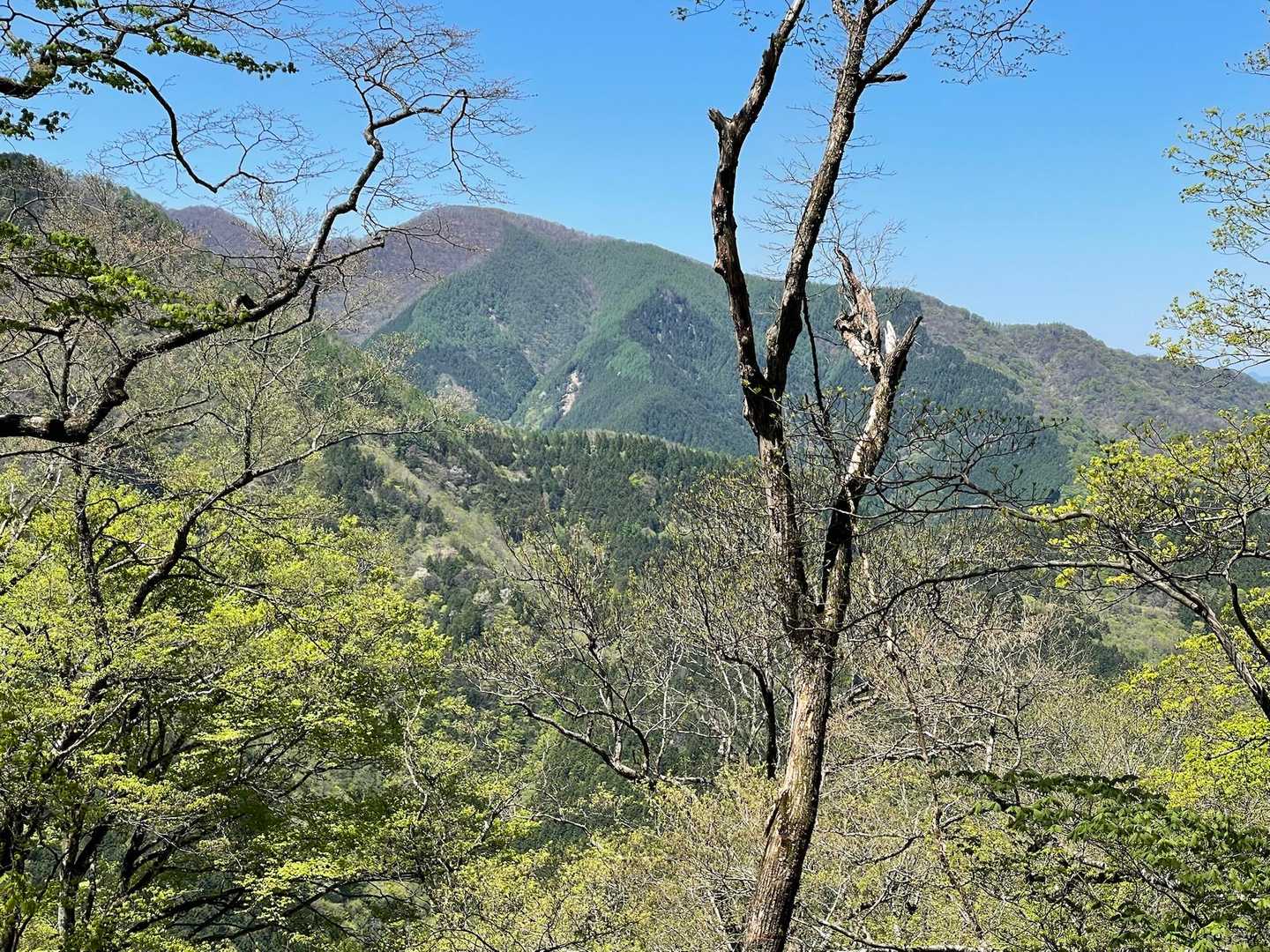 開けた眺望は太平山🎵