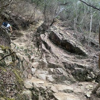 酒デバフに侵されてるなか、階段地獄と馬の背登って来た人間、もう足が上がらない😇