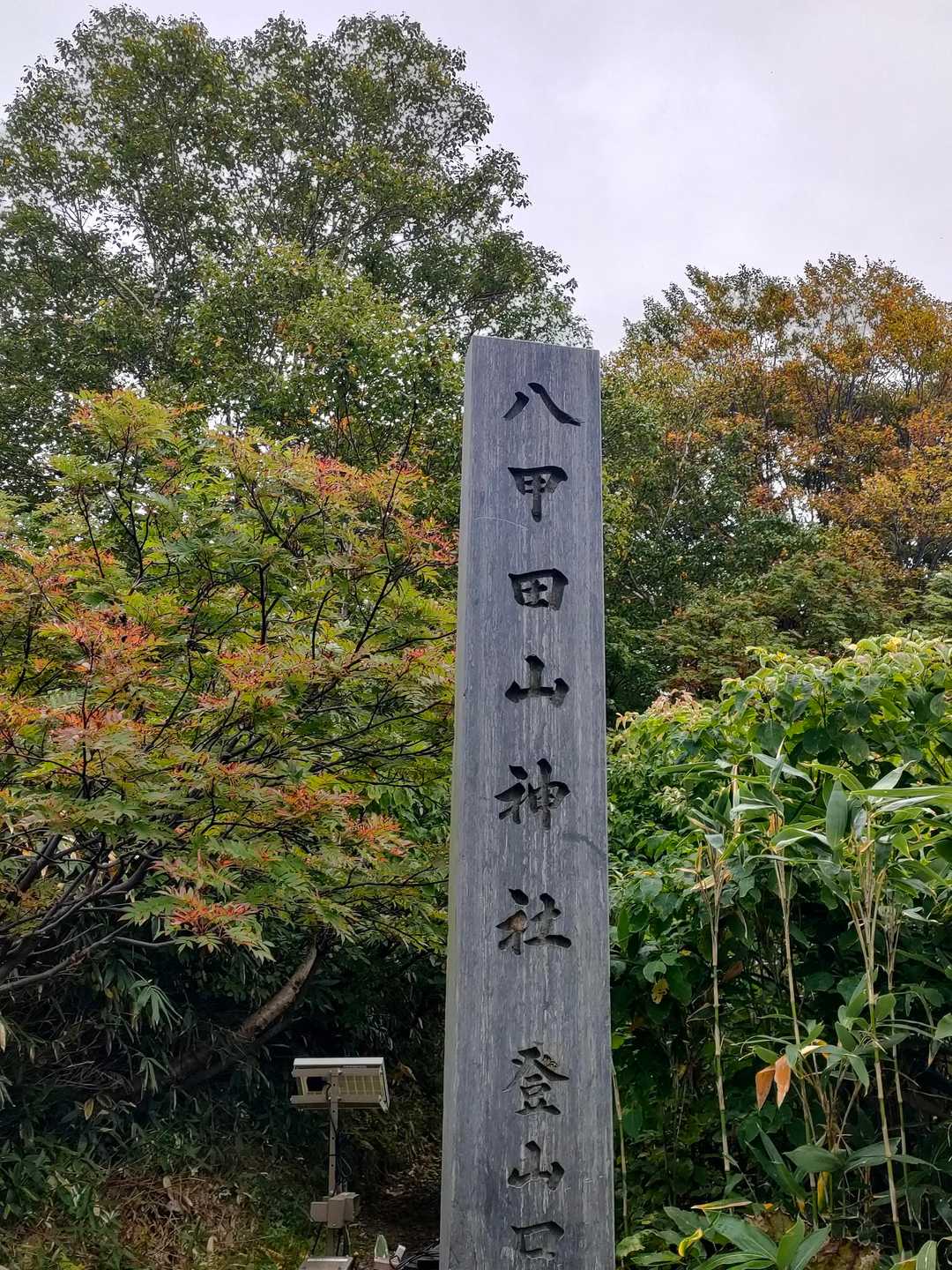 　⚫️ブラックの時は
　　　　　　　わからなかった